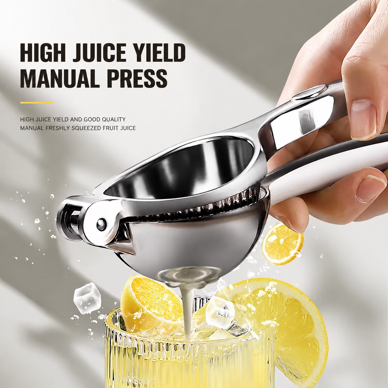 Portable fruit juicer