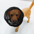 Pet Protective Face Shield