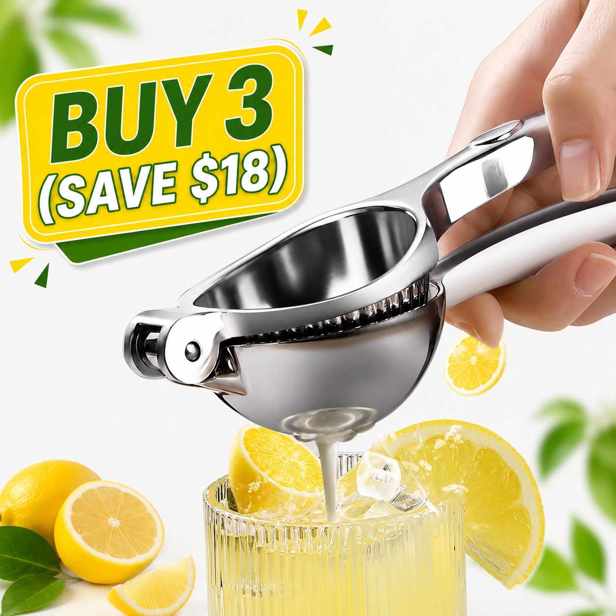 Portable fruit juicer