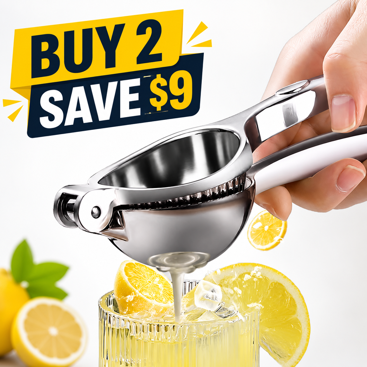 Portable fruit juicer
