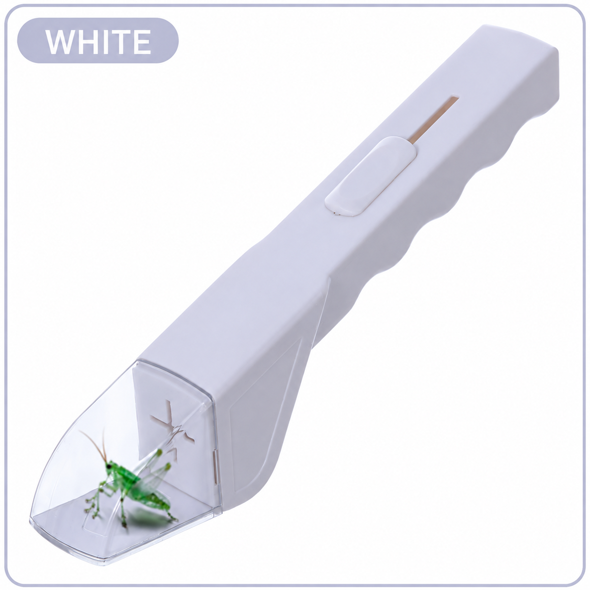 Catch & View Insect Explorer