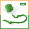 Smart toys for cats and dogs