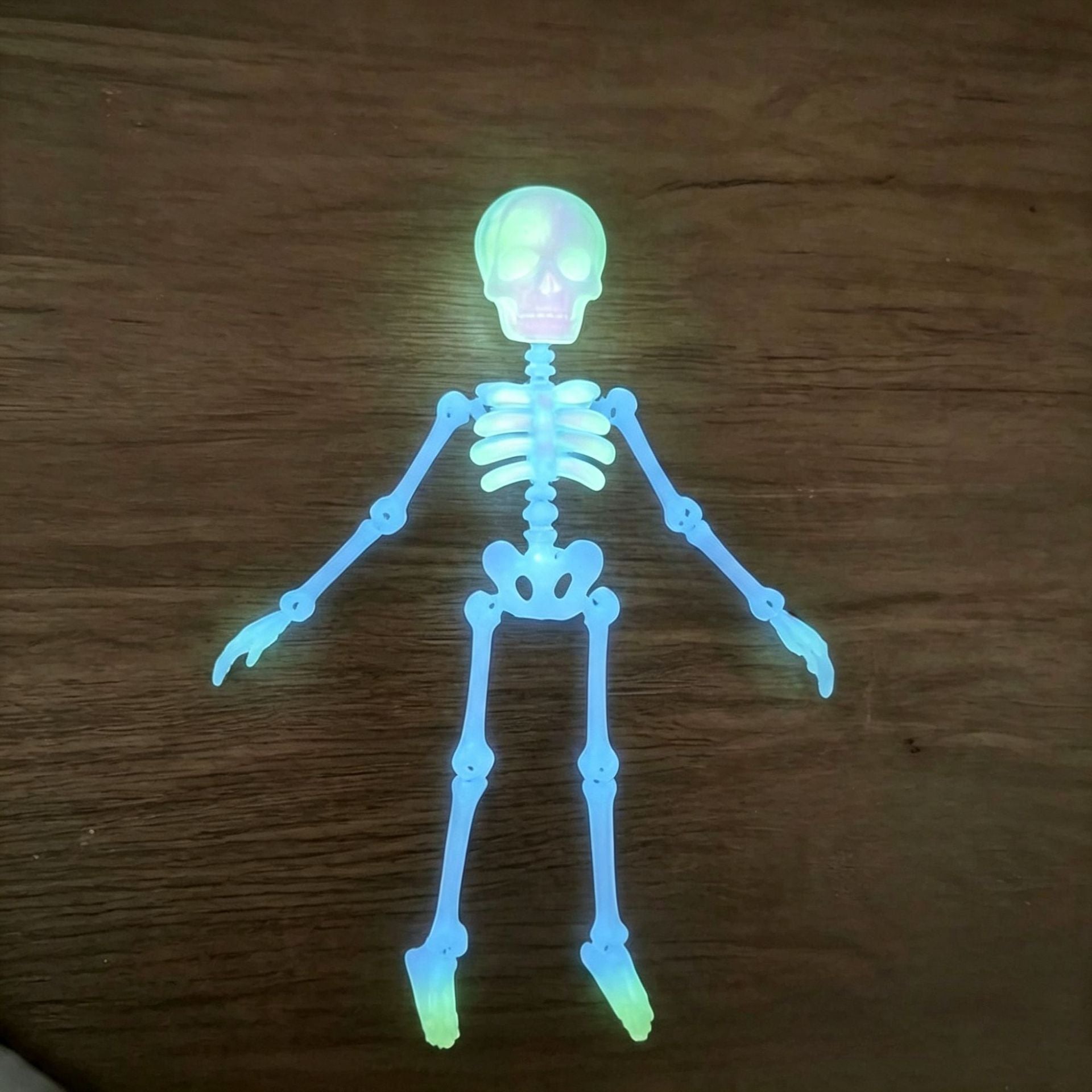 Glow Skeleton Aquarium Ornament