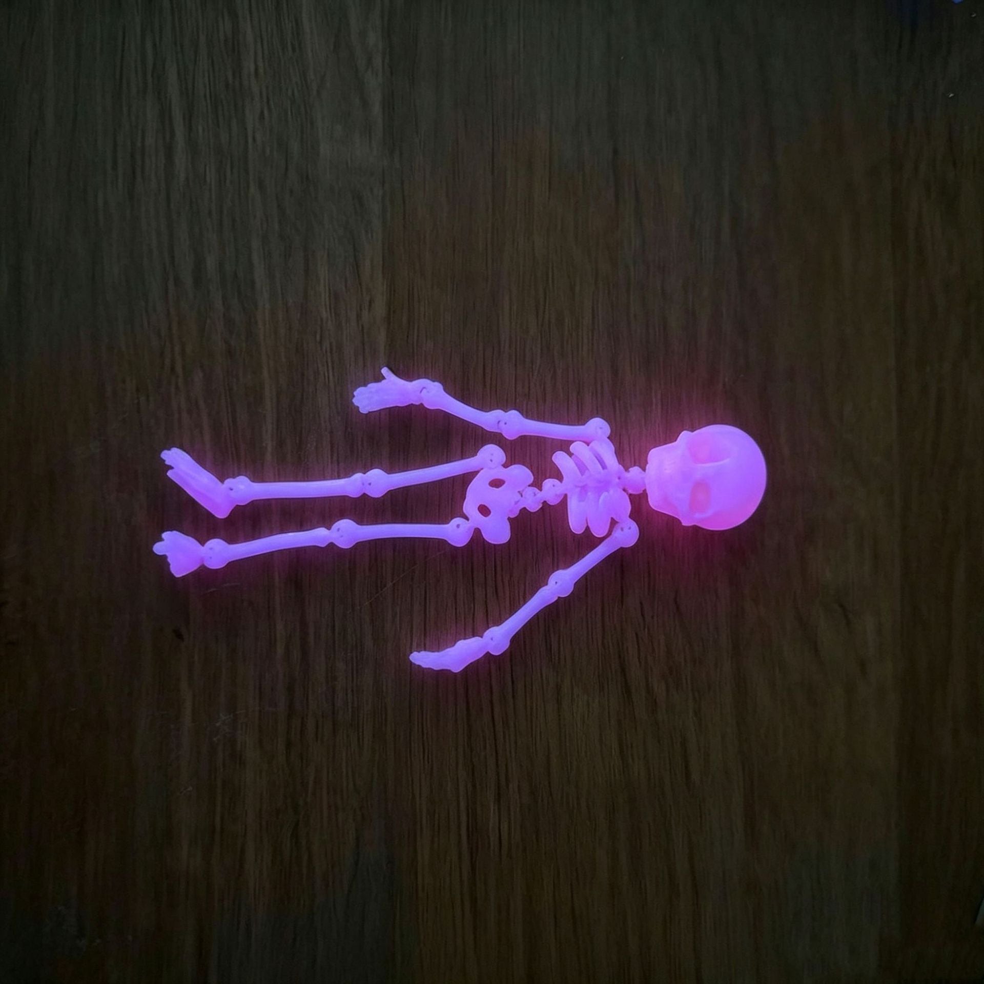 Glow Skeleton Aquarium Ornament