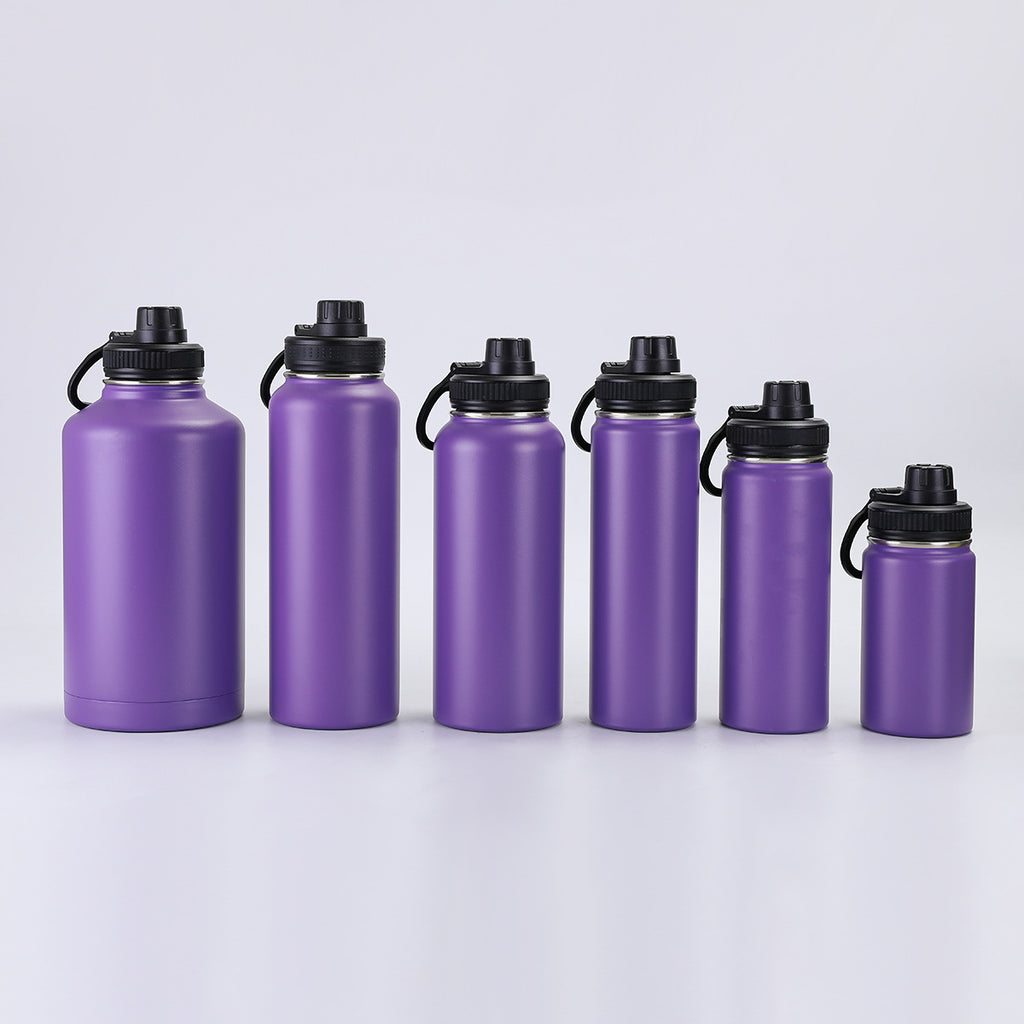 Insulated Stainless Steel Water Bottle
