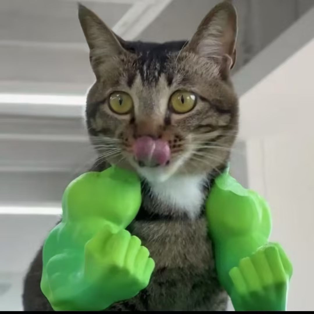 Funny Muscle Arms Pet Costume