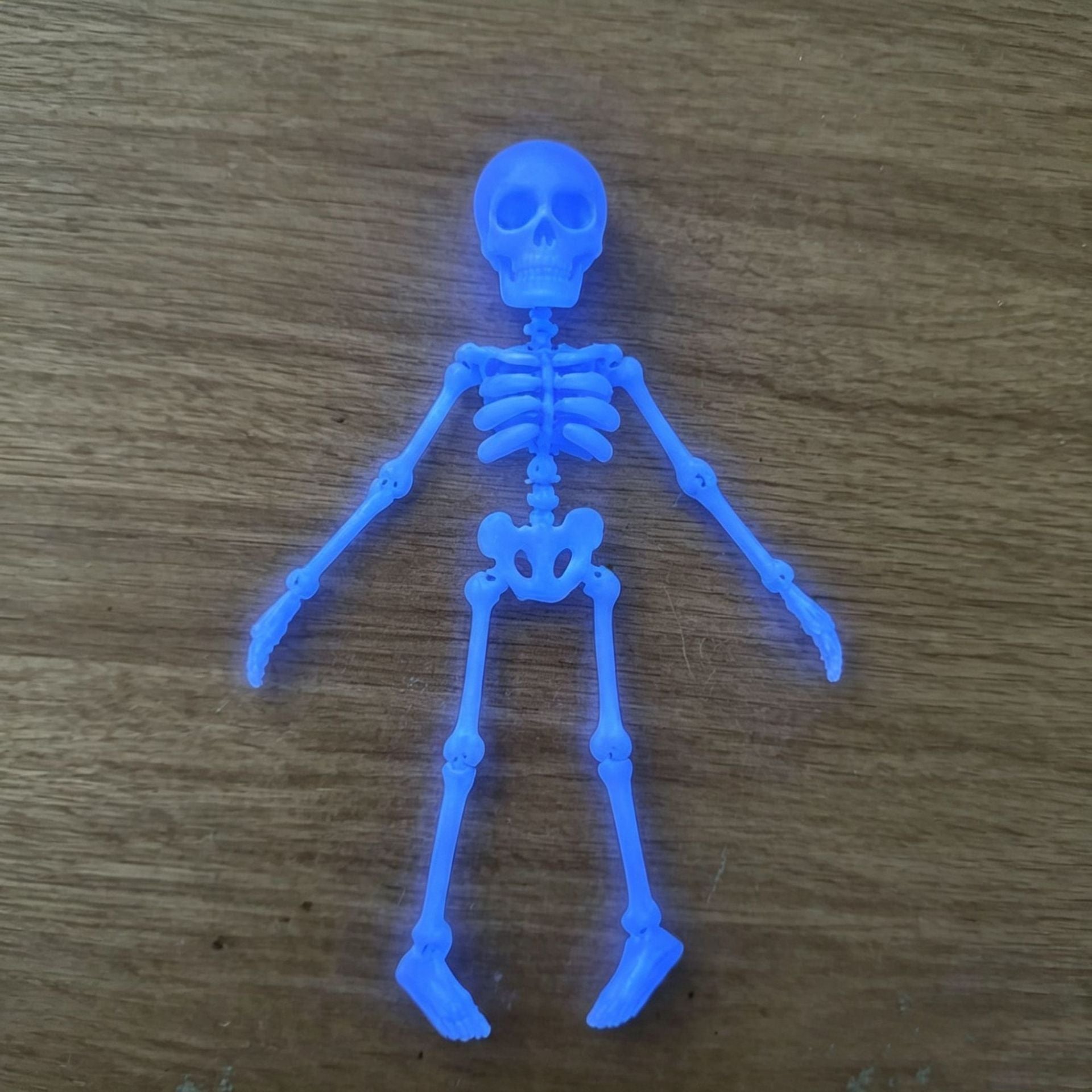 Glow Skeleton Aquarium Ornament