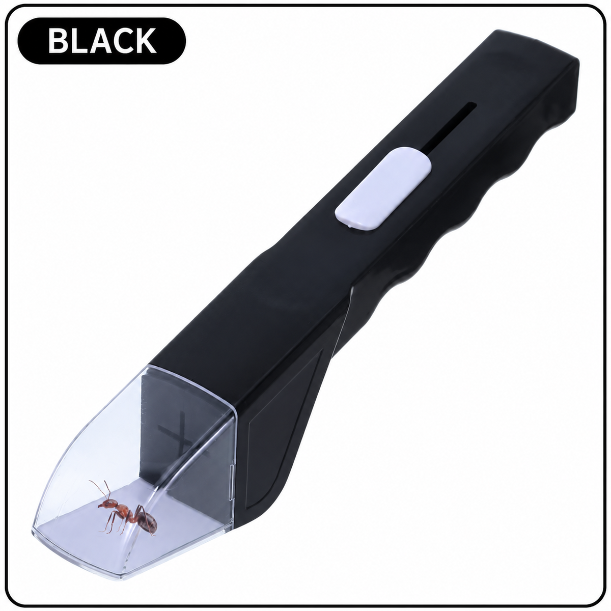 Catch & View Insect Explorer