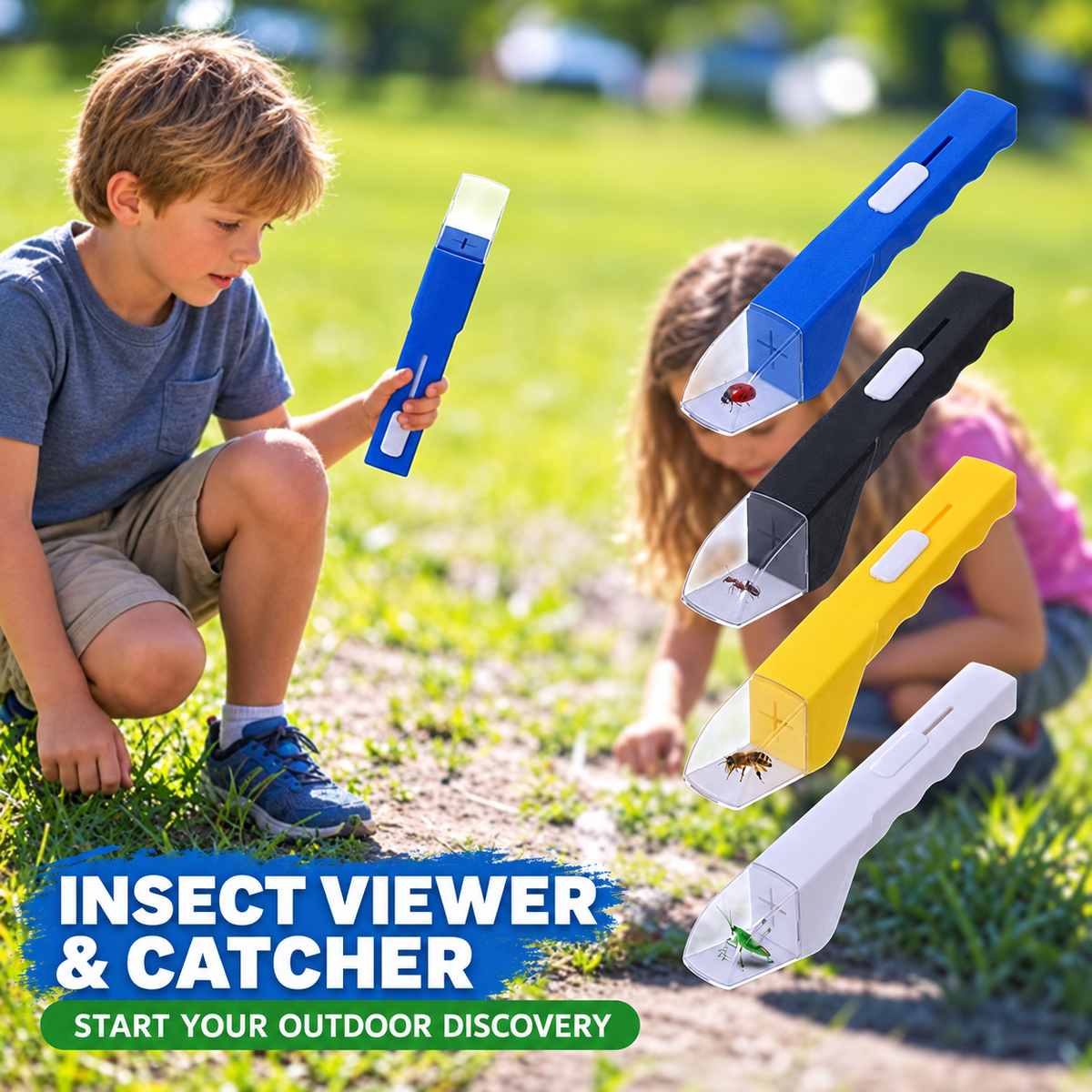 Catch & View Insect Explorer