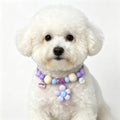 Pet deworming collar